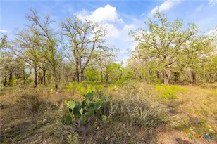 Tbd 67 Acres Old Seguin Luling Rd, Seguin, TX 78155 - Photo 22
