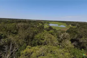 2224 Levee Rd, Bloomington, TX 77951 - Photo 24