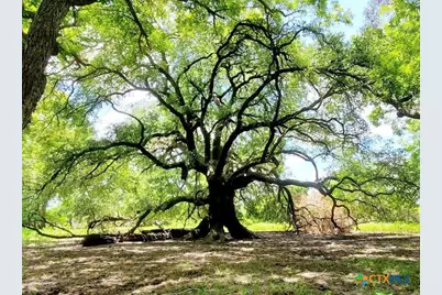 2224 Levee Road, Bloomington, TX 77951 - Photo 12
