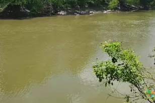 2224 Levee Rd, Bloomington, TX 77951 - Photo 20