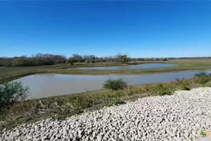 2224 Levee Rd, Bloomington, TX 77951 - Photo 48