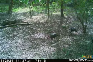 2224 Levee Rd, Bloomington, TX 77951 - Photo 34