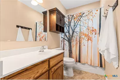 340 Sedro Trail, Georgetown, TX 78633 - Photo 30