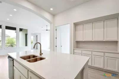 340 Fountain Grass Drive, San Marcos, TX 78666 - Photo 4