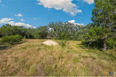 1732 Herbelin Road, New Braunfels, TX 78132 - Photo 6