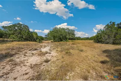 1732 Herbelin Road, New Braunfels, TX 78132 - Photo 4