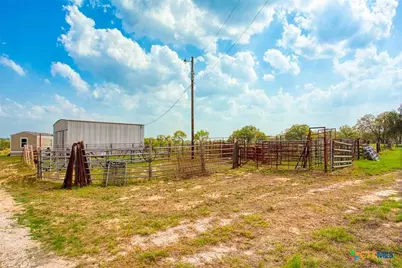 2998 County Road 302, Floresville, TX 78114 - Photo 12