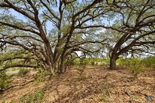 Tbd County Road 207, Burnet, TX 78611 - Photo 4