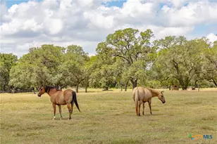 1276 Co Rd 216, Hallettsville, TX 77964 - Photo 2