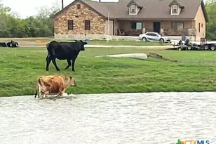 6197 Pfeil Rd, Schertz, TX 78154 - Photo 2