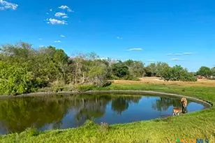 6197 Pfeil Rd, Schertz, TX 78154 - Photo 30