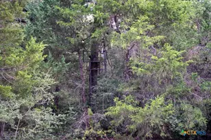 1698 Co Rd 327, Caldwell, TX 77836 - Photo 28