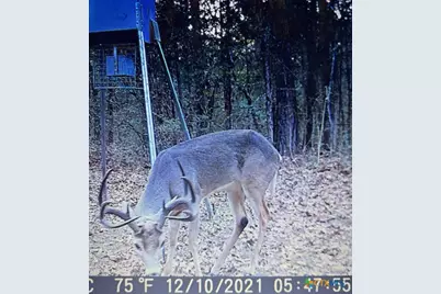 1698 County Road 327, Caldwell, TX 77836 - Photo 16