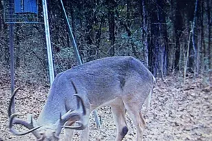 1698 Co Rd 327, Caldwell, TX 77836 - Photo 16