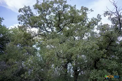 1698 County Road 327, Caldwell, TX 77836 - Photo 24