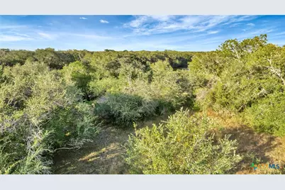 Tbd Private Road 4620, Francitas, TX 77961 - Photo 12