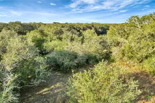 Tbd Private Road 4620, Francitas, TX 77961 - Photo 12