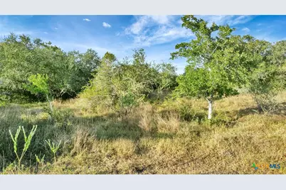 Tbd Private Road 4620, Francitas, TX 77961 - Photo 10