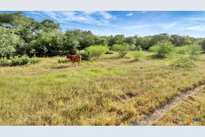 Tbd Private Road 4620, Francitas, TX 77961 - Photo 24