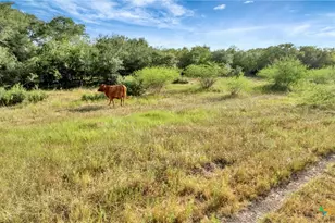 Tbd Private Road 4620, Francitas, TX 77961 - Photo 24