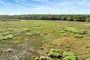 Tbd Private Road 4620, Francitas, TX 77961 - Photo 26