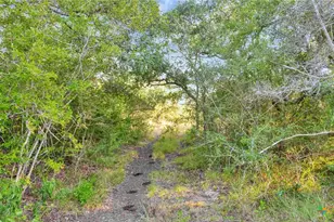 Tbd Private Road 4620, Francitas, TX 77961 - Photo 36