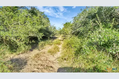 Tbd Private Road 4620, Francitas, TX 77961 - Photo 10