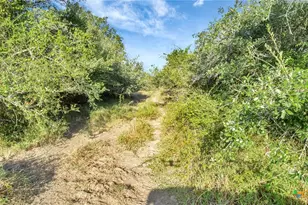 Tbd Private Road 4620, Francitas, TX 77961 - Photo 10