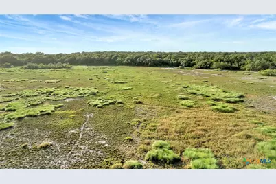 Tbd Private Road 4620, Francitas, TX 77961 - Photo 28