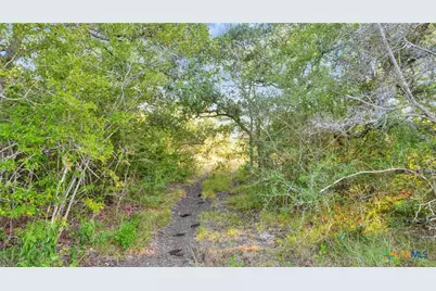 Tbd Private Road 4620, Francitas, TX 77961 - Photo 38