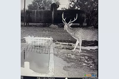 587 Valley Rd., Eldorado, TX 76936 - Photo 28