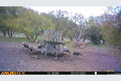 587 Valley Rd., Eldorado, TX 76936 - Photo 20