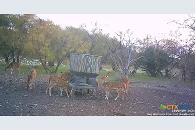 587 Valley Rd., Eldorado, TX 76936 - Photo 10