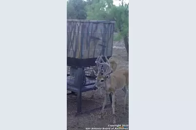 587 Valley Rd., Eldorado, TX 76936 - Photo 30