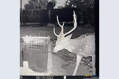 587 Valley Rd., Eldorado, TX 76936 - Photo 12