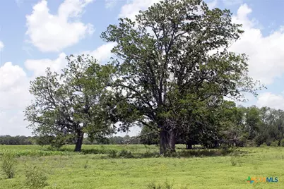 9411 Fm-86, Lockhart, TX 78644 - Photo 6