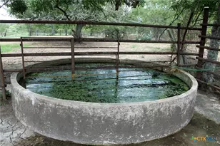 9411 FM86, Lockhart, TX 78644 - Photo 8