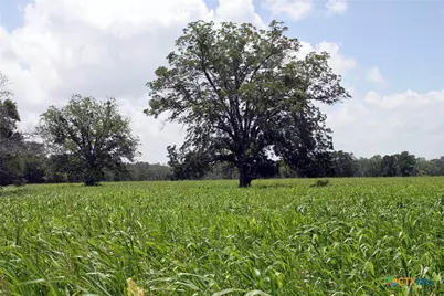 9411 Fm-86, Lockhart, TX 78644 - Photo 6