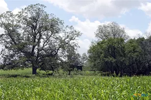 9411 FM86, Lockhart, TX 78644 - Photo 10