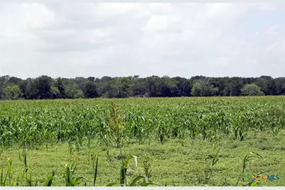 9411 Fm-86, Lockhart, TX 78644 - Photo 2