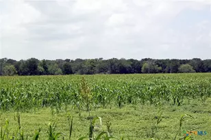 9411 FM86, Lockhart, TX 78644 - Photo 2