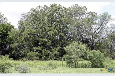 9411 Fm-86, Lockhart, TX 78644 - Photo 14