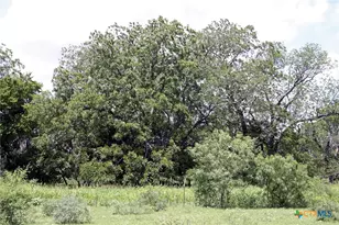 9411 FM86, Lockhart, TX 78644 - Photo 14
