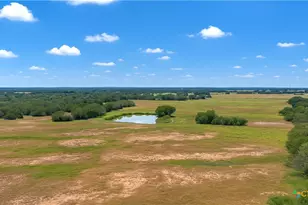 4425 US Hwy 90, Seguin, TX 78155 - Photo 4