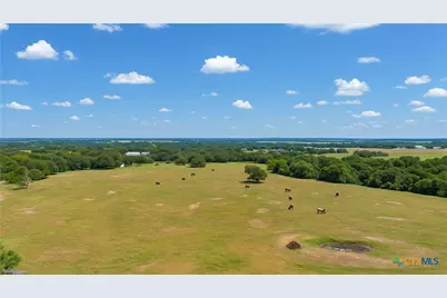 4425 US Hwy 90, Seguin, TX 78155 - Photo 8