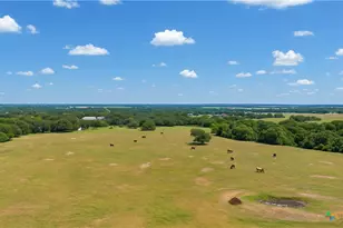 4425 US Hwy 90, Seguin, TX 78155 - Photo 8