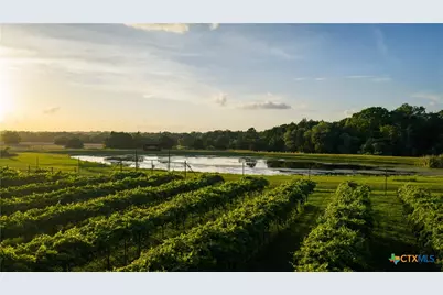 2080 Zimmerscheidt, Columbus, TX 78950 - Photo 4