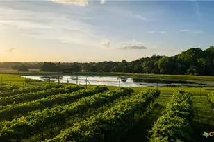 2080 Zimmerscheidt, Columbus, TX 78950 - Photo 4