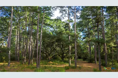 2080 Zimmerscheidt, Columbus, TX 78950 - Photo 12