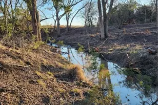 1646 Co Rd 335, Burnet, TX 78611 - Photo 10